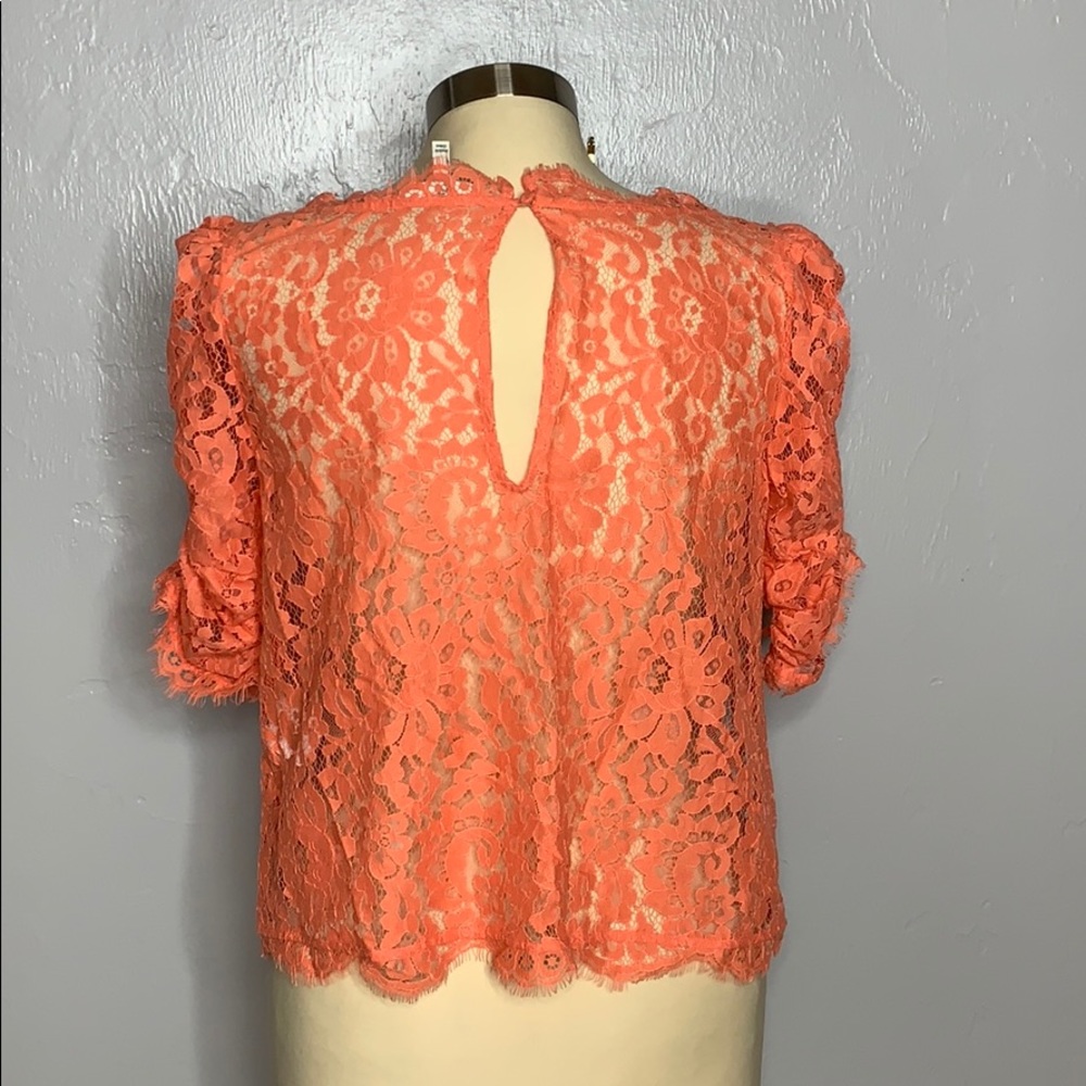 Joie Fanny Lace Top Orange Lace Blouse Sz S - Picture 6 of 8